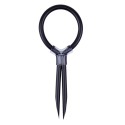 Петля для пениса CHISA Stud Ring