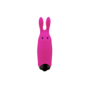 Набор вибраторов Adrien Lastic Promo Pack Pocket Vibe