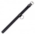 Ошейник Ring of Humiliti Black