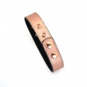 Ошейник с зажимами для сосков Liebe Seele Rose Gold Memory Collar with Nipple Clamps