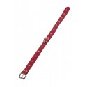 Ошейник Leather Restraints Collar, red