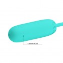 Виброяйцо перезаряжаемое Pretty Love  Joyce