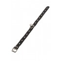 Ошейник Dominant Collar, black