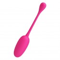 Перезаряджаюче віброяйце Pretty Love Knucker
